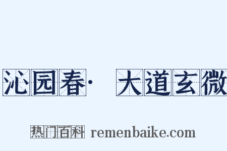 沁园春·大道玄微是什么意思的图片